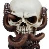 Octopus Skull -Alchemy Store Facde