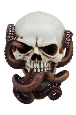 Octopus Skull