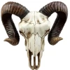 Ram Skull -Alchemy Store Front fea2cd2b 6c40 4cb6 84ad 3705c53cb798