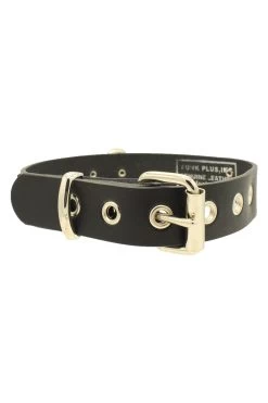 Punk Drunk Love Bondage Collar -Alchemy Store IMG 4959
