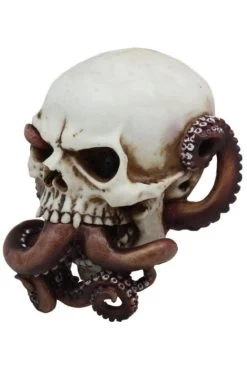 Octopus Skull -Alchemy Store OPther