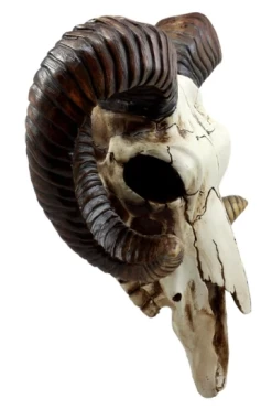 Ram Skull -Alchemy Store SIDE