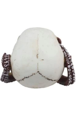 Octopus Skull -Alchemy Store back 6761dad5 e654 4f19 b13a 21c3efa3de32