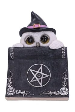 NEMESIS NOW Owl's Spell Statue